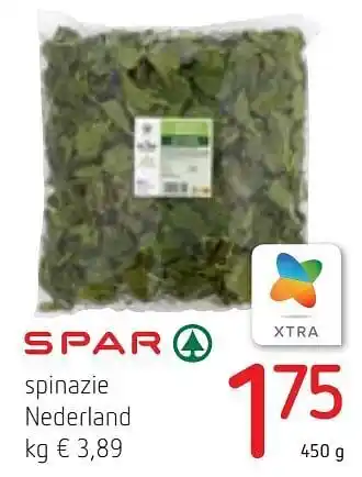 Spinazie nederland