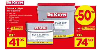 De Keyn Peinture acrylique mur et plafond