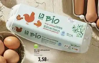 Bio vrije-uitloopeieren maat m