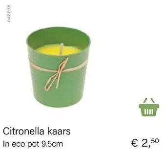 Citronella kaars