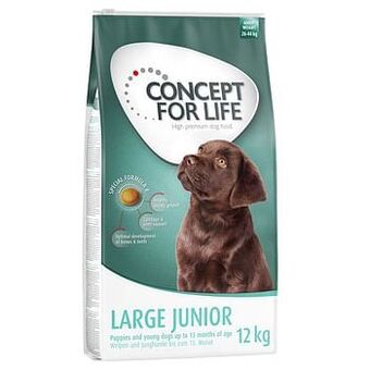 Zooplus 1,5kg Large Junior 12 + Concept for Life Hondenvoer aanbieding