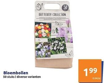 Action Bloembollen aanbieding