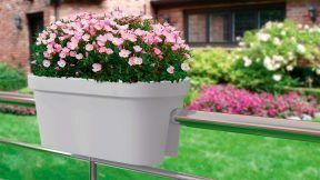 ALDI Bloempot voor balkonleuning aanbieding