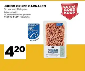 Grijze Garnalen