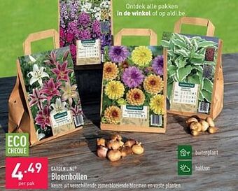 ALDI Bloembollen aanbieding