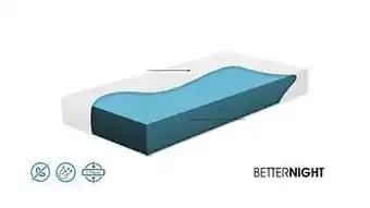 De Matrassen Gigant Better Night koudschuim matras Dina-Ferme-100x190cm aanbieding