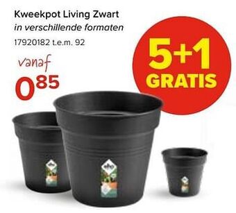 Kweekpot living zwart