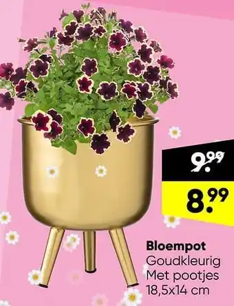 Bloempot