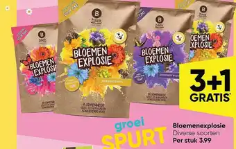 Bloemenexplosie 3+1 Gratis