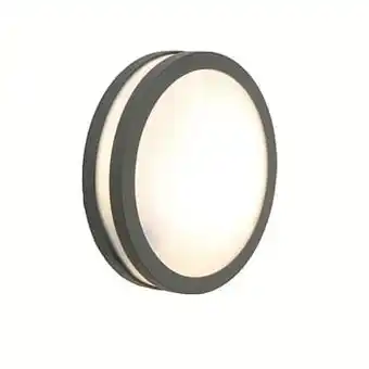 Brico Lutec buiten wandlamp ’Titan’ antraciet 20W aanbieding