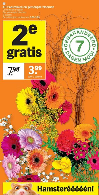 Albert Heijn AH paastakken en gemengde bloemen aanbieding