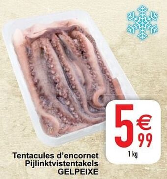 Cora Tentacules d’encornet pijlinktvistentakels gelpeixe aanbieding