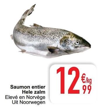 Cora Saumon entier hele zalm aanbieding