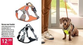 ALDI Harnas voor honden aanbieding