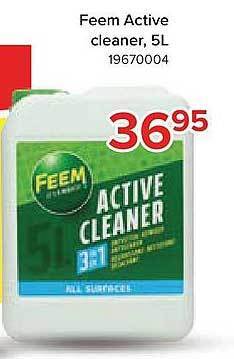 Feem Active Cleaner 5l