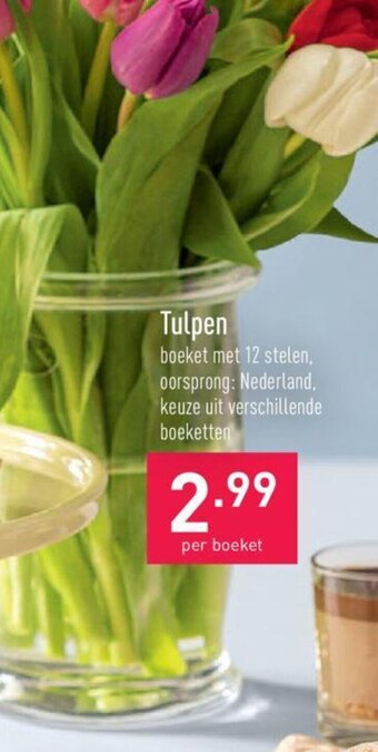 Tulpen