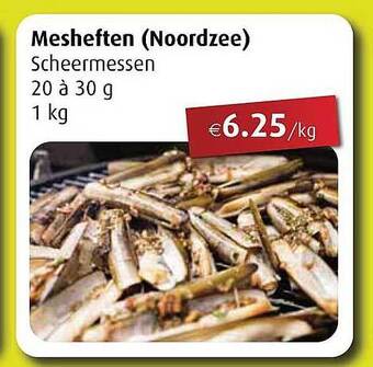 Aronde Mesheften aanbieding