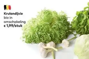 Bio Planet Krulandijvie bio aanbieding
