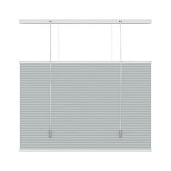 GAMMA GAMMA plissé duo top down bottom up lichtdoorlatend 6006 lichtgrijs 200x220 aanbieding