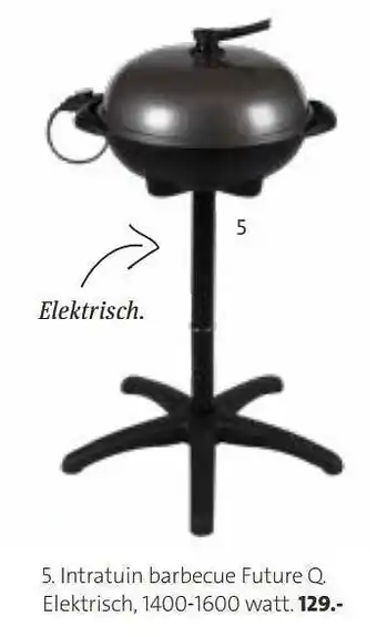 Intratuin barbecue future q