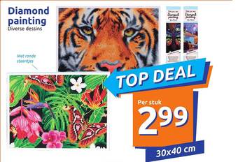 Action Diamond Painting aanbieding