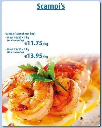 Aronde Scampi’s aanbieding