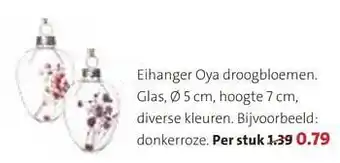 Eihanger oya droogbloemen