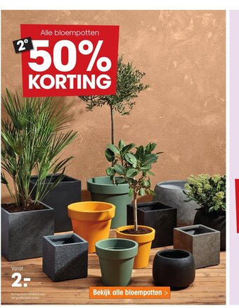 Kwantum Alle bloempotten aanbieding