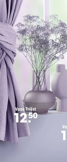 Kwantum Vaas triest aanbieding