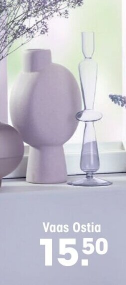Kwantum Vaas ostia aanbieding
