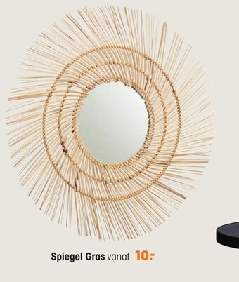 Kwantum Spiegel gras aanbieding