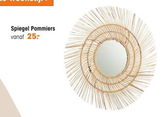 Kwantum Spiegel pommiers aanbieding