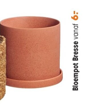 Kwantum Bloempot bresse aanbieding