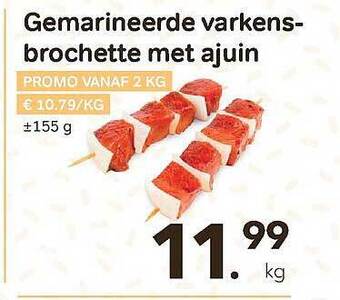 Bon Ap Gemarineerde Varkensbrochette Met Ajuin aanbieding