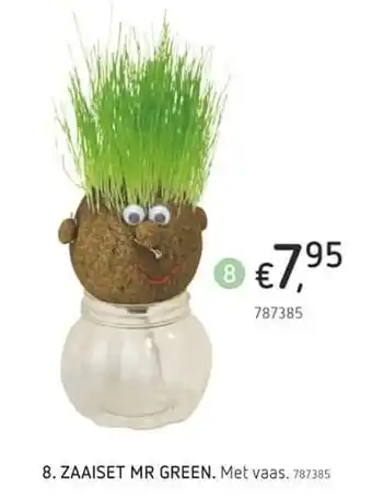 Dreamland Zaaiset mr green aanbieding
