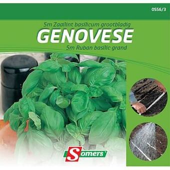 Brico Somers basilicum ’Genovese’ grootbladig zaailint 5 m aanbieding