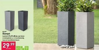 ALDI Bloempot aanbieding