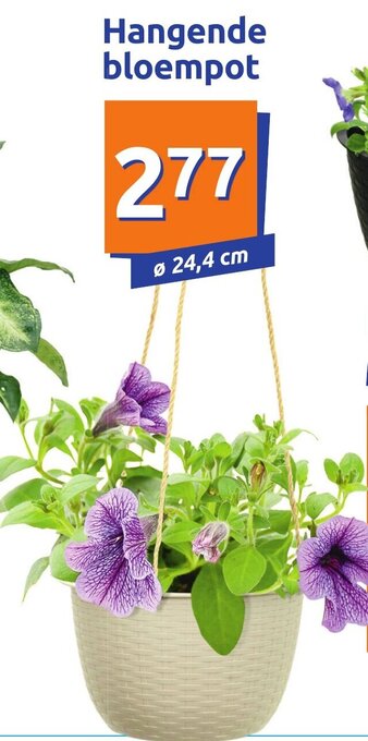Action Hangende bloempot aanbieding