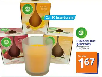 Action Essentials Oils geurkaars aanbieding