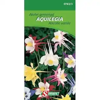 Brico Somers akelei gemengd ’Aquilegia’ aanbieding