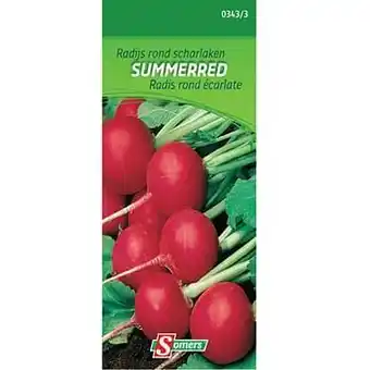 Brico Somers zaad pakket radijs rond scharlaken ’Summerred’ aanbieding
