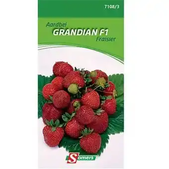 Brico Somers zaad pakket aardbei ’Grandian F1’ aanbieding
