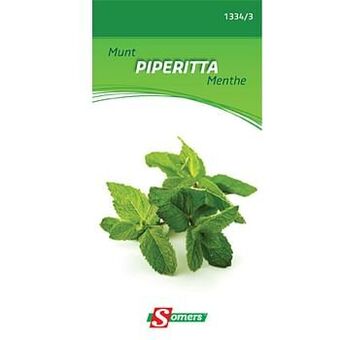 Brico Somers zaad pakket munt ’Piperitta’ aanbieding