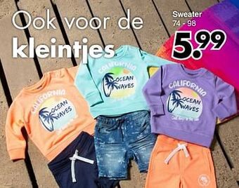 Wibra Sweater aanbieding