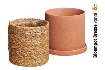 Kwantum Bloempot bresse aanbieding