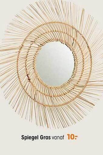 Kwantum Spiegel Gras aanbieding