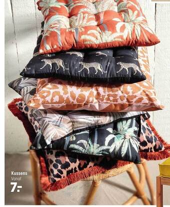 Kwantum Kussens aanbieding