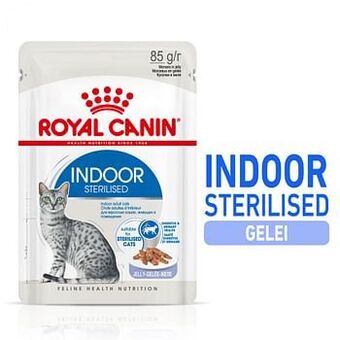 Zooplus 48x85g Indoor Sterilised in Gelei Royal Canin Kattenvoer aanbieding