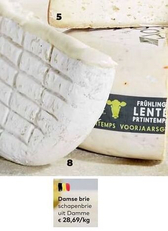 Bio Planet Damse brie schapenbrie uit damme aanbieding