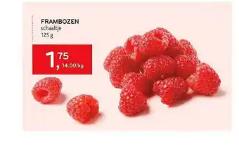 Frambozen Schaaltje 125g